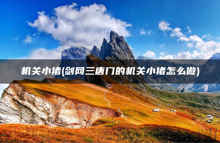 机关小猪(剑网三唐门的机关小猪怎么做)