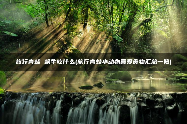 旅行青蛙 蜗牛吃什么(旅行青蛙小动物喜爱食物汇总一览)