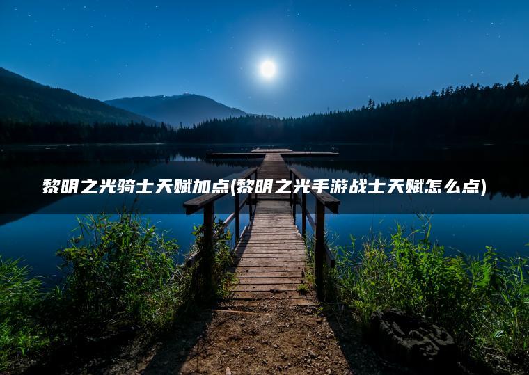 黎明之光骑士天赋加点(黎明之光手游战士天赋怎么点)