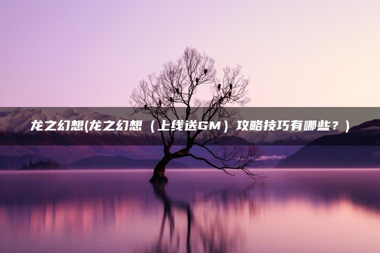 龙之幻想(龙之幻想（上线送GM）攻略技巧有哪些？)