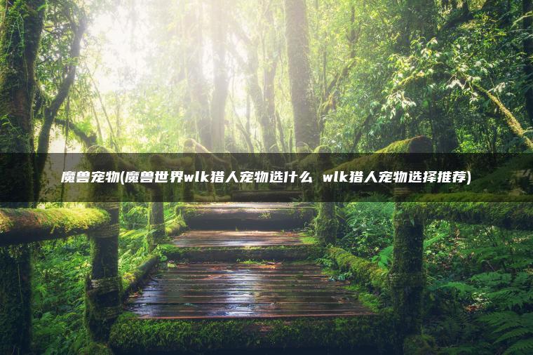 魔兽宠物(魔兽世界wlk猎人宠物选什么 wlk猎人宠物选择推荐)