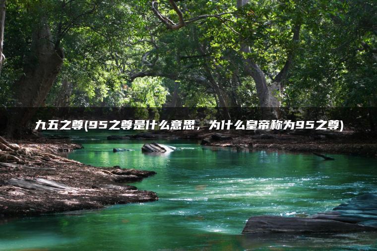 九五之尊(95之尊是什么意思，为什么皇帝称为95之尊)