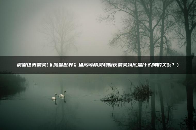 魔兽世界精灵(《魔兽世界》里高等精灵和暗夜精灵到底是什么样的关系？)