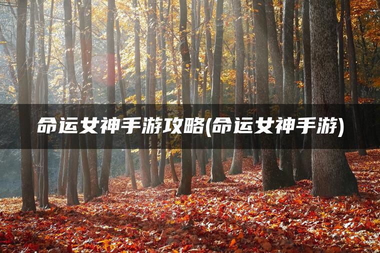 命运女神手游攻略(命运女神手游)