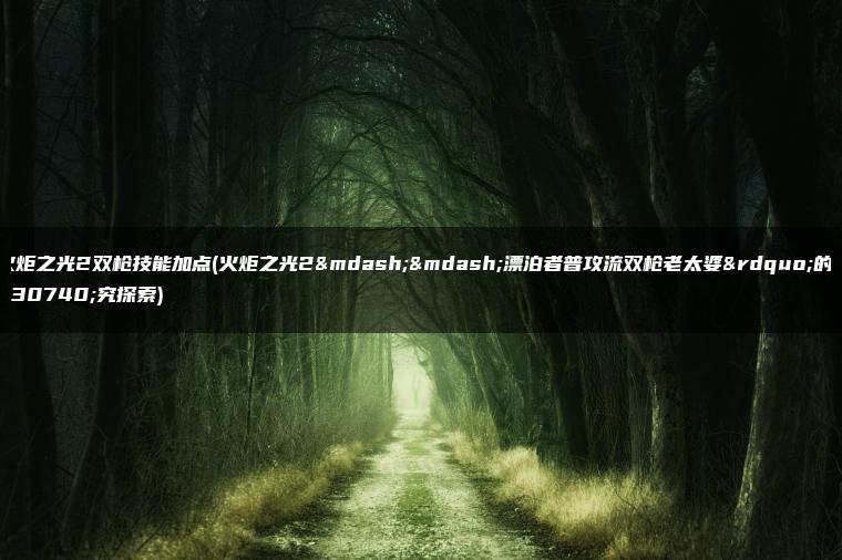 火炬之光2双枪技能加点(火炬之光2——漂泊者普攻流双枪老太婆”的研究探索)