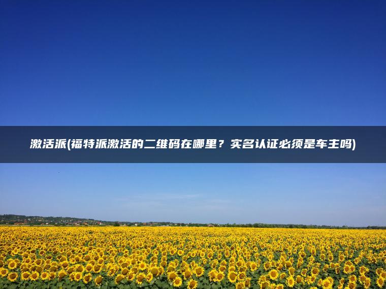 激活派(福特派激活的二维码在哪里？实名认证必须是车主吗)