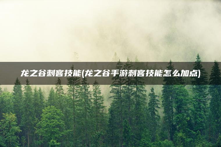 龙之谷刺客技能(龙之谷手游刺客技能怎么加点)