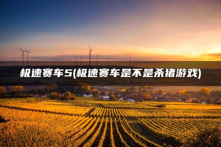 极速赛车5(极速赛车是不是杀猪游戏)