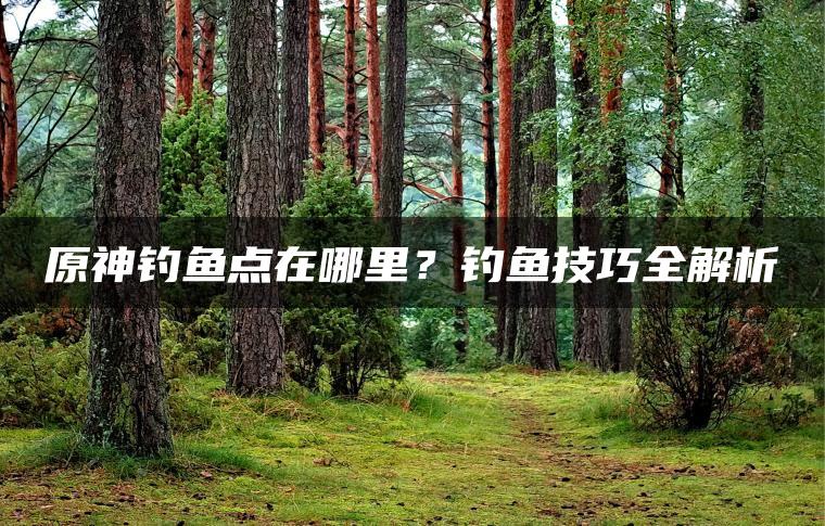 原神钓鱼点在哪里？钓鱼技巧全解析