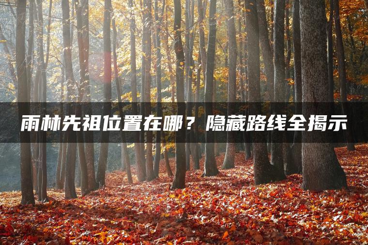 雨林先祖位置在哪？隐藏路线全揭示