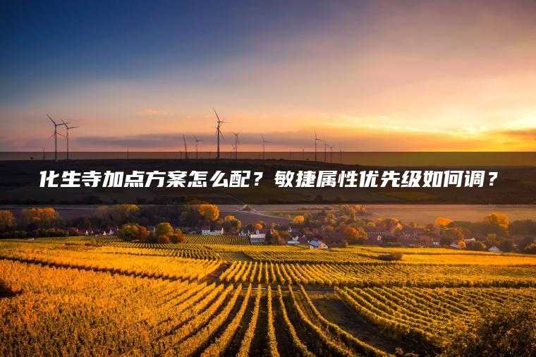 化生寺加点方案怎么配？敏捷属性优先级如何调？