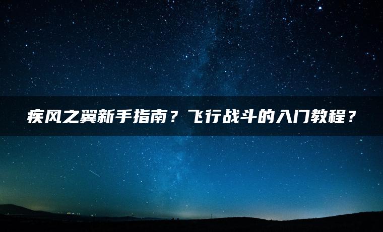疾风之翼新手指南？飞行战斗的入门教程？