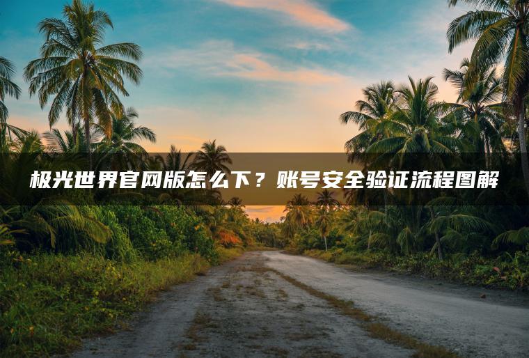 极光世界官网版怎么下？账号安全验证流程图解