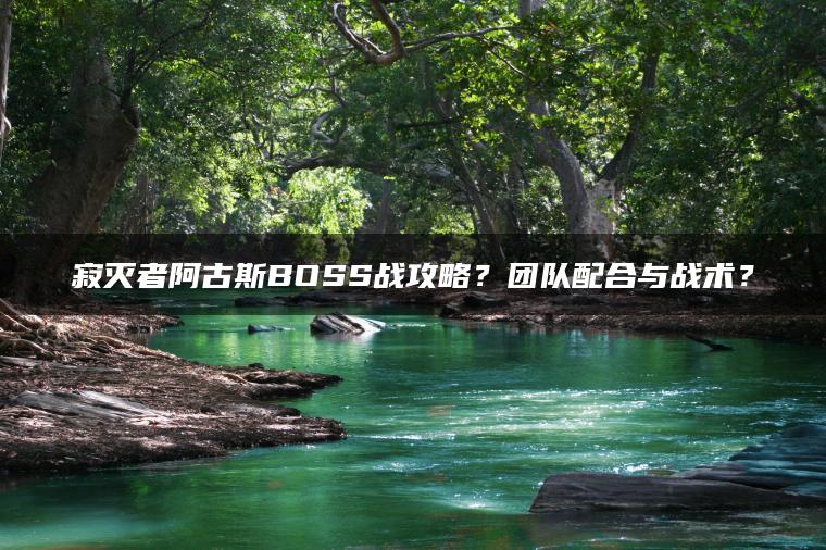 寂灭者阿古斯BOSS战攻略？团队配合与战术？