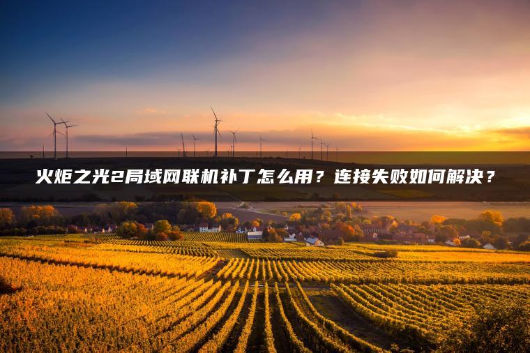 火炬之光2局域网联机补丁怎么用？连接失败如何解决？