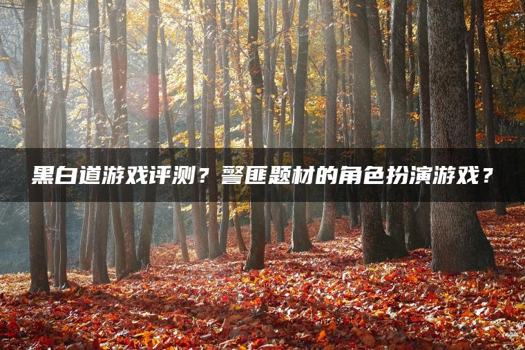 黑白道游戏评测？警匪题材的角色扮演游戏？