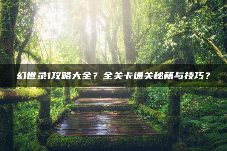 幻世录1攻略大全？全关卡通关秘籍与技巧？
