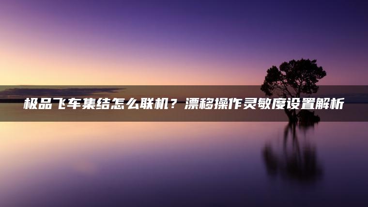 极品飞车集结怎么联机？漂移操作灵敏度设置解析