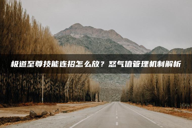 极道至尊技能连招怎么放？怒气值管理机制解析