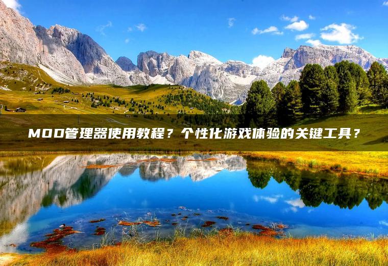 MOD管理器使用教程？个性化游戏体验的关键工具？
