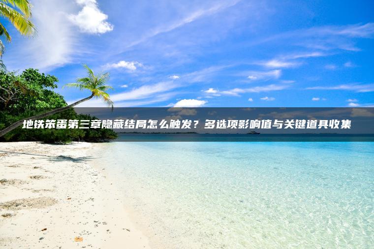 地铁笨蛋第三章隐藏结局怎么触发？多选项影响值与关键道具收集