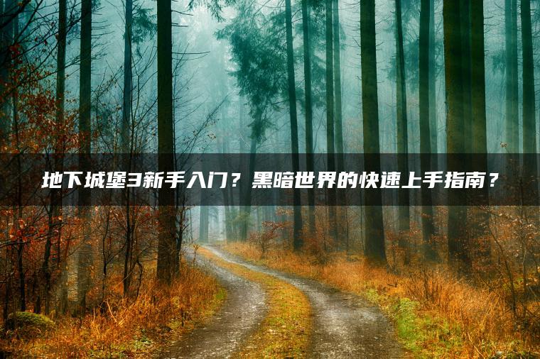 地下城堡3新手入门？黑暗世界的快速上手指南？