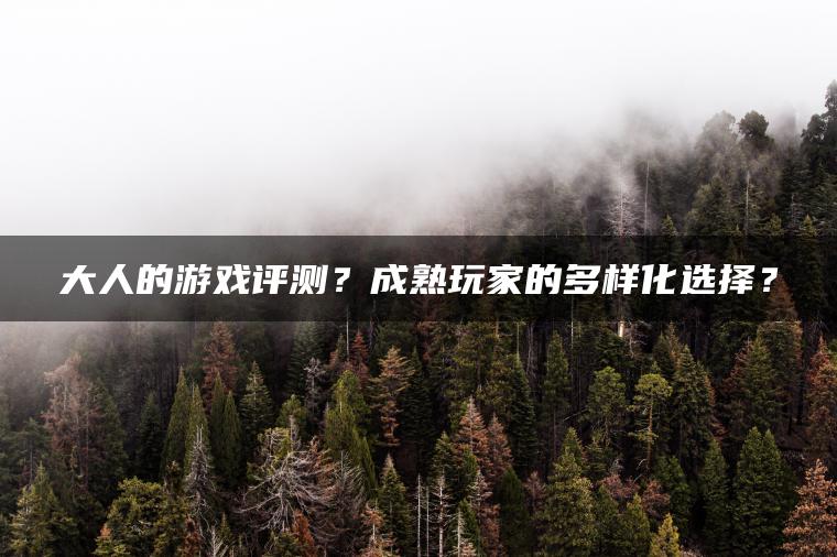 大人的游戏评测？成熟玩家的多样化选择？