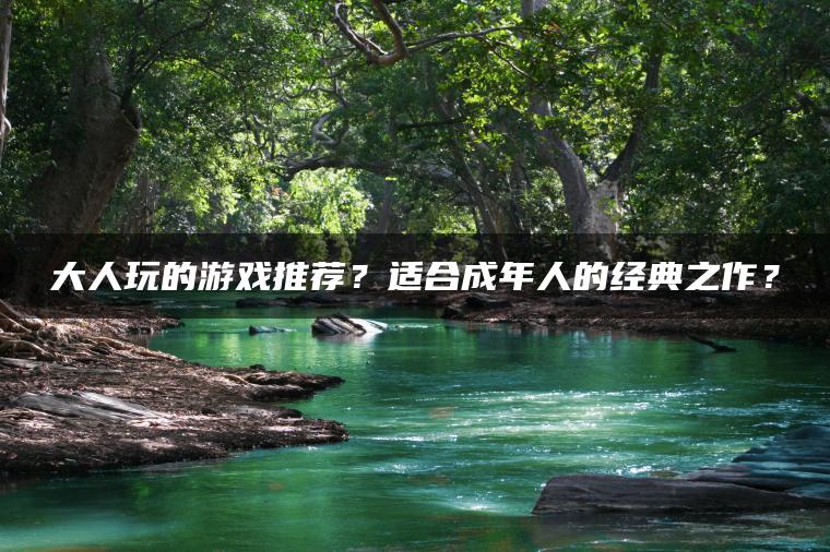 大人玩的游戏推荐？适合成年人的经典之作？