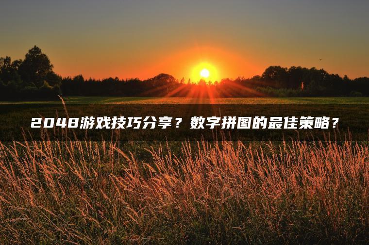 2048游戏技巧分享？数字拼图的最佳策略？