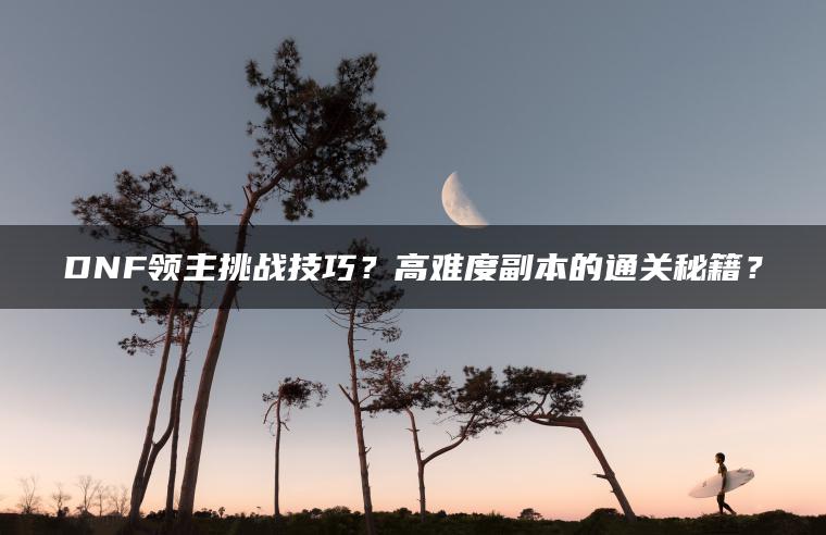 DNF领主挑战技巧？高难度副本的通关秘籍？