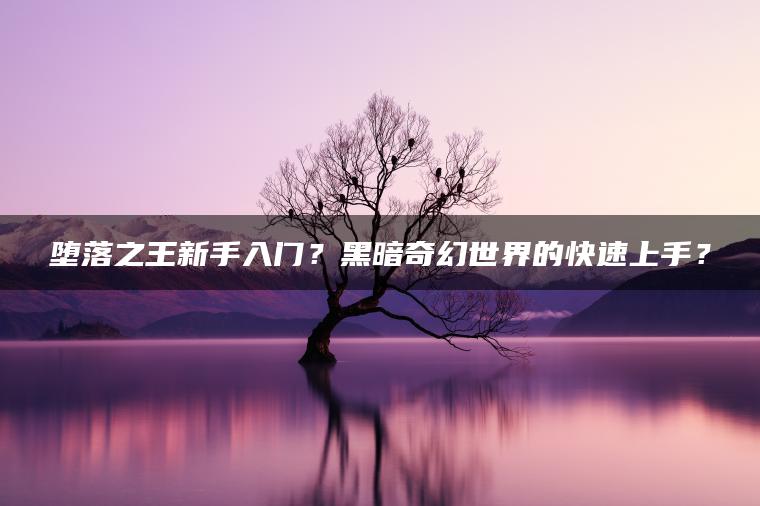 堕落之王新手入门？黑暗奇幻世界的快速上手？