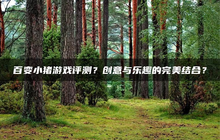 百变小猪游戏评测？创意与乐趣的完美结合？