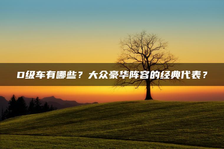D级车有哪些？大众豪华阵容的经典代表？