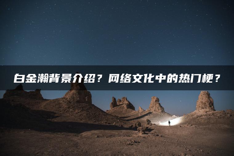 白金瀚背景介绍？网络文化中的热门梗？