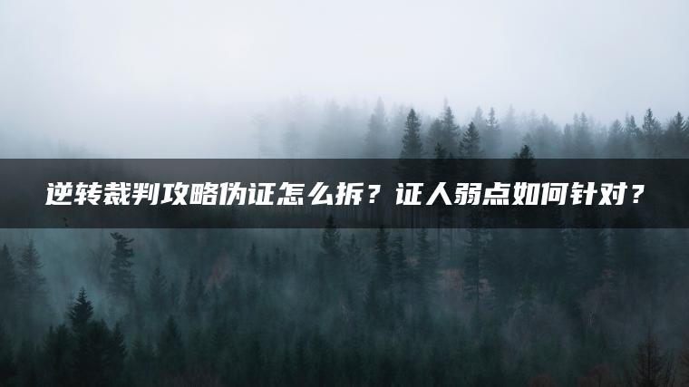 逆转裁判攻略伪证怎么拆？证人弱点如何针对？