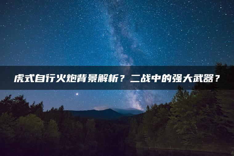 虎式自行火炮背景解析？二战中的强大武器？